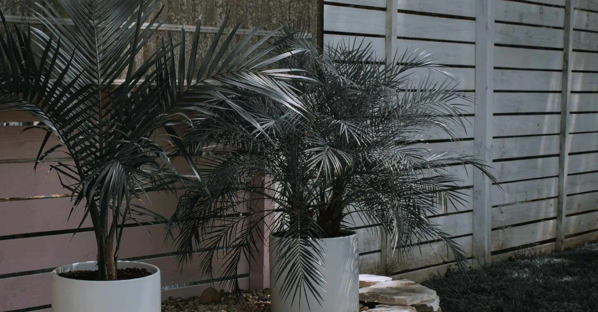 Beautiful Gardens, Made Simple: Your Landscaping Guide